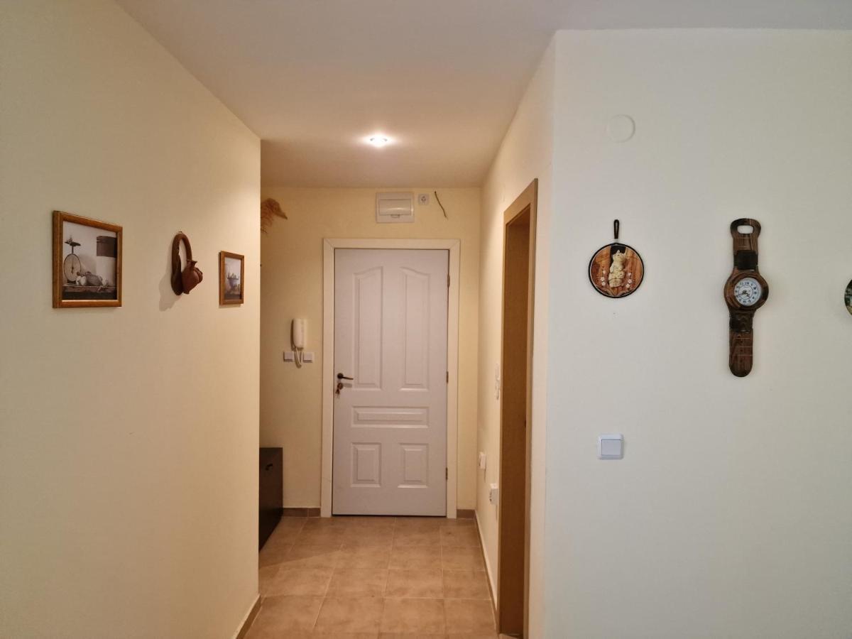 Sloneczny Brzeg Green Fort Noks Studio Екстер'єр фото